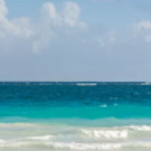 Meet your Posher, Jazzmin